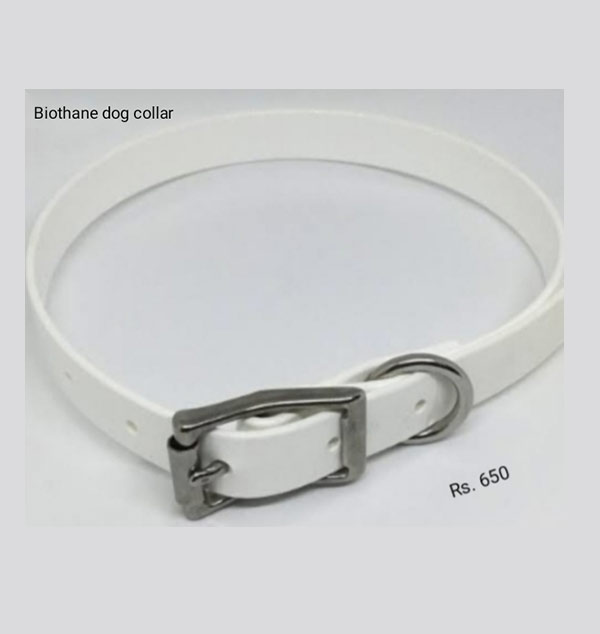 Dog belt