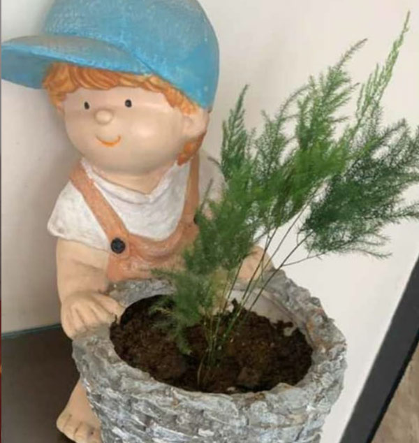 home decor