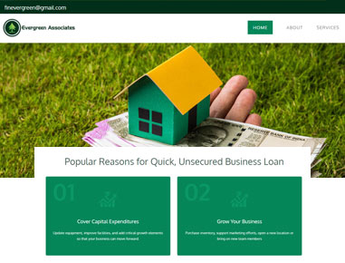 Finance website design