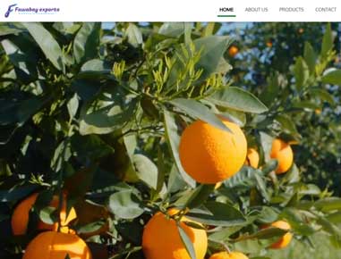 website rs999